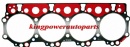 CYLINDER HEAD GASKET FOR HINO F17C 11115-2180