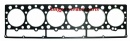 CYLINDER HEAD GASKET FIT FOR CAT 3306DI